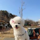 체형교정경락마사지 네이버블로그