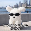 신촌 핫플 장원영 차지티(CHAGEE) 웨이팅 후기☕🧋