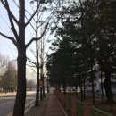 109행정사사무소 | 내과·응급의학과 전공의 추가모집 실시