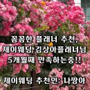 (주)상아아이엔제이 | 걱정 많은 신부 꼼꼼하게 체크해주시는 김상아플래너님 (제이웨딩 추천인 : 나짱아)