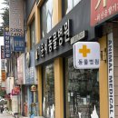 이윤세동물병원 | 8살 달콩이의 황니 스케일링 후기 1탄[이윤세 동물병원]