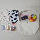 소심유치원 | 대전 반려동물 강아지 유치원 시장놀이 프로그램! 하이애견에서 소심한 강아지도 사회성 기르기