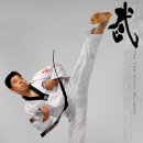 코리아 태비 태권도 이미지