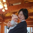 로드 207 이미지