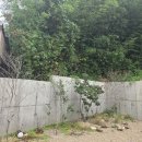 능소담 키즈풀빌라 펜션 이미지