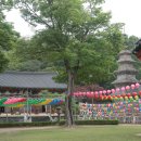 칠곡 도덕암 몽계당선의대사 진영 이미지