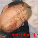 푸른솔식당 이미지