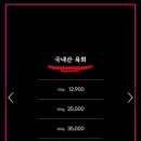 노란황소집용이점 이미지