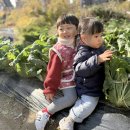 뽑기이야기 이미지