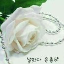 마음한줄 이미지