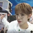 이리안경 이미지