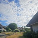 동굴리조트 | [세부 여행 2일차] 뷰 장난 없는 '보홀 미티 리조트' 후기