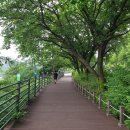 국토종주자전거길1-43 이미지