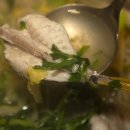 수림복국 이미지