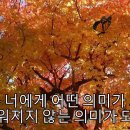 박강성-장난감병정(가사포함). 사랑할수 없어 아픈기억 때문에.... 이미지