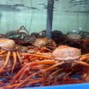 따듯한오후 낮잠소리 이미지