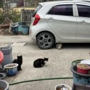 칠성농장 | [청도 맛집] 청도 소찌개 육회비빔밥 로컬 맛집 칠성 농장 식육식당