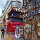 수원-0289 이미지