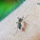 건강한공간