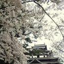 일본 돗토리(鳥取) - 마츠에성(松江城) / 이즈모신사(出雲神社) 이미지