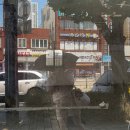 몽도날드 이미지