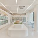 에르멍스 이미지