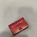 보람2차(아) | 필러 싫어하는 나의 선택,스컬트라 2차 시술 결과 공개