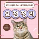 안양동물병원 이미지