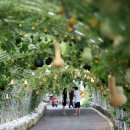 두레영농조합법인 이미지