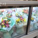 하닷사