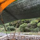 종가집식당 이미지