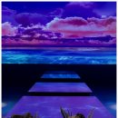 중앙시장길 이미지