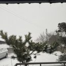 봉암리 할머니 이미지