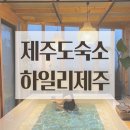 하일리 제주 | 제주도 에어비엔비, 하일리제주로 신혼여행 다녀왔어요!