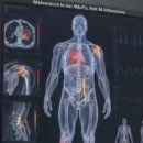 MEDBED 업데이트 이미지