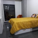 1 Bed Room 아파트 (장. 단기)렌트 -- 몬테레이 Centro - 렌트완료 이미지