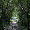 징검다리연구소 이미지