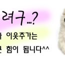 길성목장 네이버블로그