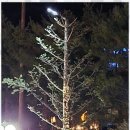 로뎀펜션하우스 이미지