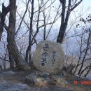 덕산운수 Daum카페