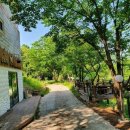 금산식당 이미지