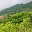 단양한우 목장 이미지