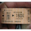 샛별여행 이미지