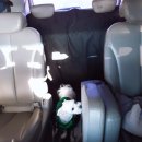 푸름켄넬 이미지