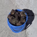 바다체험학교 현포 이미지