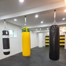 WJ복싱클럽 연천점 이미지