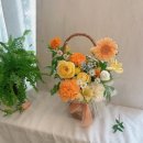 리코(rico) | [원주 꽃집] 리코 플라워(RICO FLOWER): 최애 꽃집 내돈내산 후기