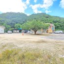 느티나무민박2 이미지