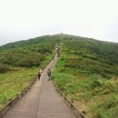 노고단-9 이미지