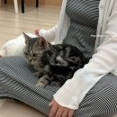 키라빌딩 이미지